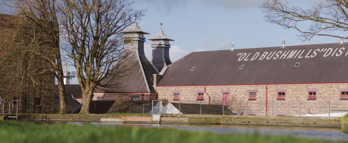 BUSHMILLS BUSHMILLS
