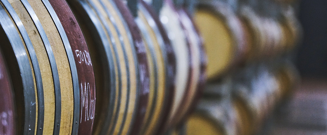 Fermentation Fermentation