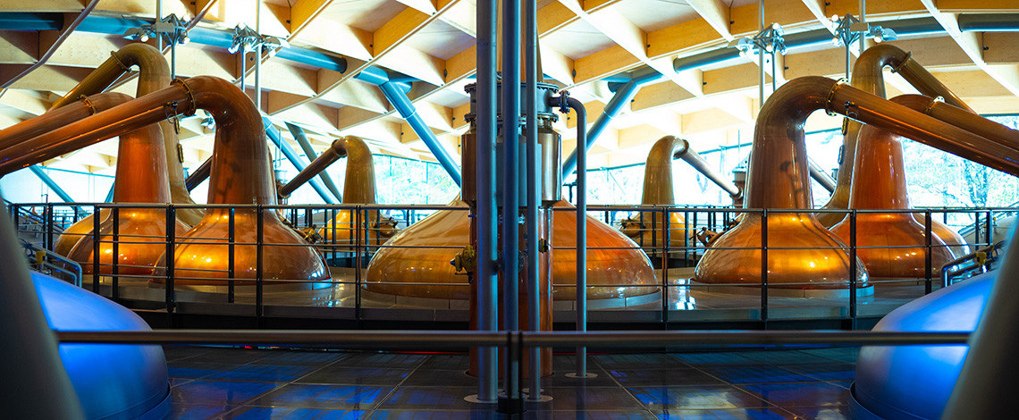 Fermentation Fermentation