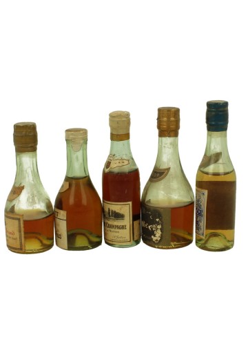 Cognacs    miniature 5x 3cl or 5cl 40% OB