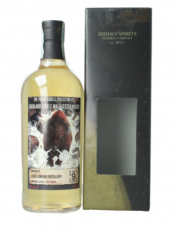 Loch lomond  highland  Scotch Whisky 9 year old 2010 2019 70cl 48% Hidden Spirits -