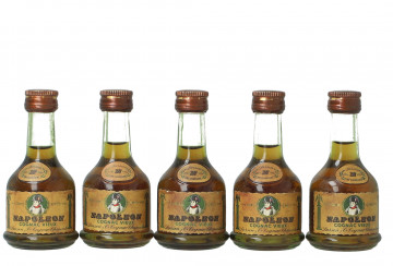 Lot old  Cognac Larsen miniature 1970  circa 7x4cl